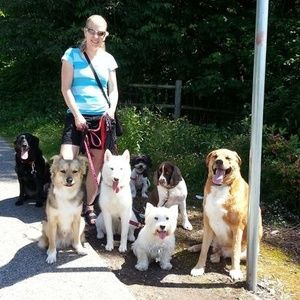 Meet your Posher, Robyn